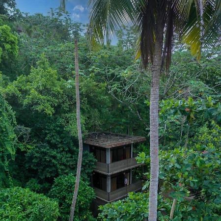 Taino Beach Lofts El Valle Zewnętrze zdjęcie