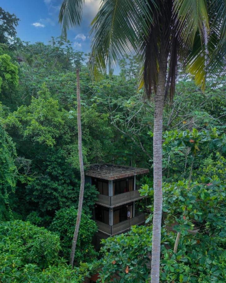 Taino Beach Lofts El Valle Zewnętrze zdjęcie